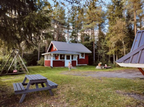 Punatulkku Kalajoki